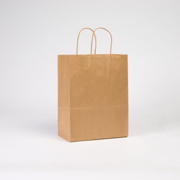 Kraft handle Bag Brown (10*6*12)